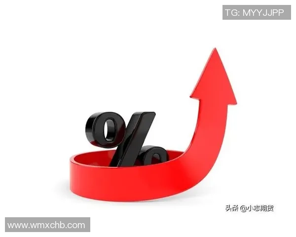 武汉篮球队在钻石联赛中的比赛经验与表现分析